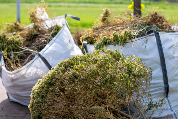 Best Moving and Downsizing Cleanouts  in Whitesboro, TX